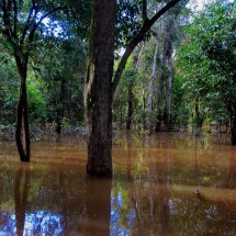 High water in the Amazon basin